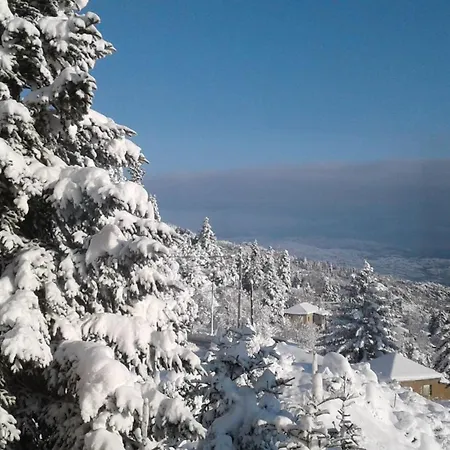 Elatos Cozy 公寓 *