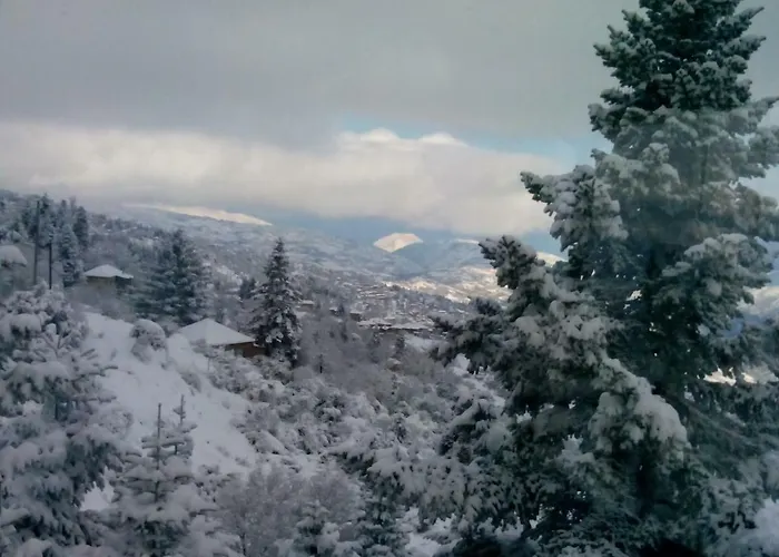 Elatos Cozy Apartamento