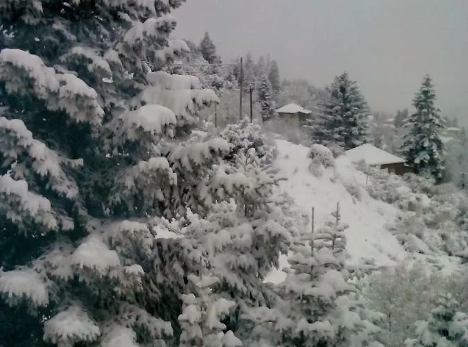 Lägenhet Elatos Cozy Ano Trikala