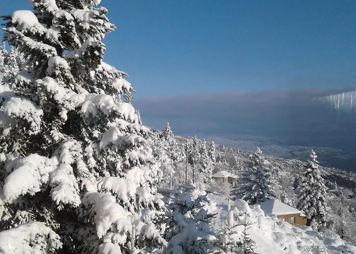 Elatos Cozy Lägenhet *